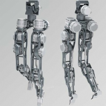 Human robot joint assembly